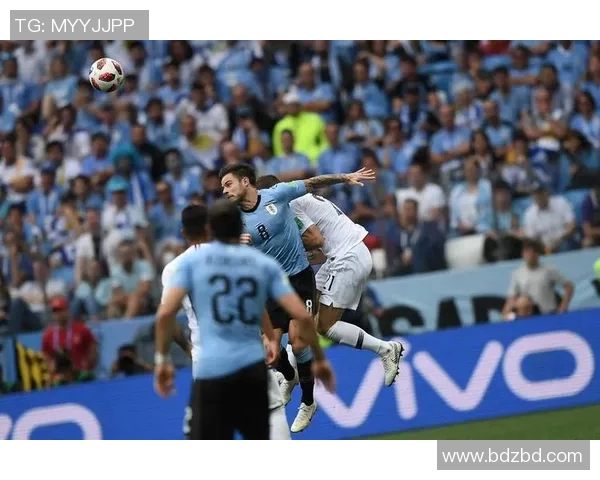 2010年世界杯乌拉圭与法国激战回顾与精彩瞬间分析